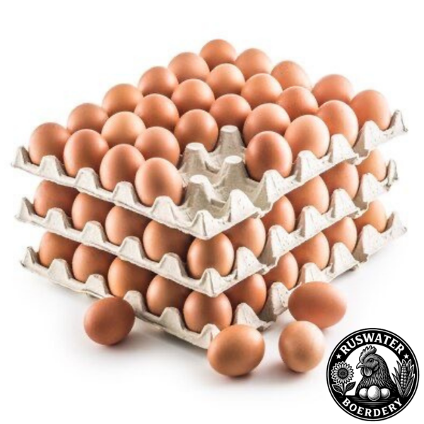 FARM FRESH BROWN TABLE EGGS